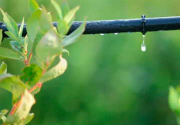 Acqua Regis®