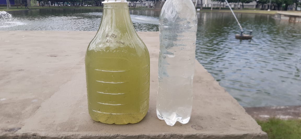 Acqua Regis®